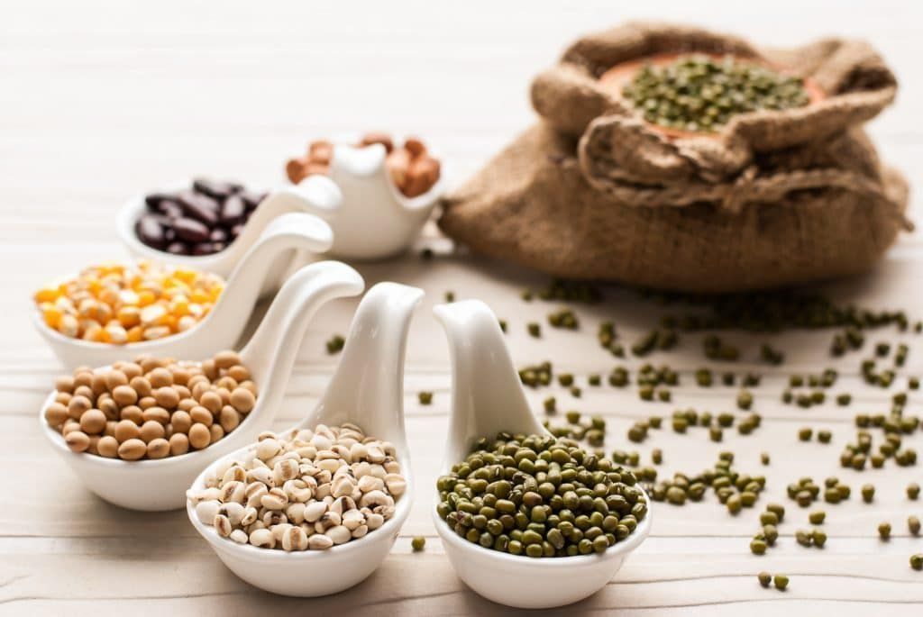 Consuming plant proteins how to choose them